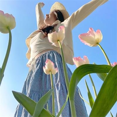 黑钱飞机